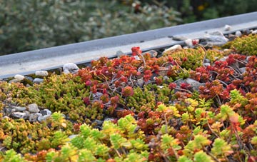 the cost of Rathmell green roof installation
