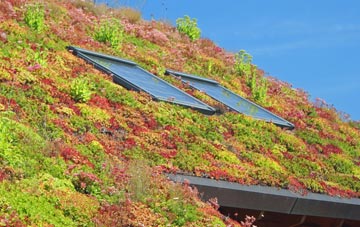Rathmell living roof systems